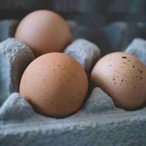 PFAS egg test